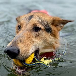 Meet your Posher, Jack